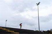 11 November 2018; Steward Aaron O'Donovan, from Kildimo-Pallaskenry, Co Limerick, watches the Dr Crokes squad warm-up on the back pitch before the AIB Munster GAA Football Senior Club Championship semi-final match between Dr Crokes and St Finbarr's at Dr Crokes GAA, in Killarney, Co. Kerry. Photo by Piaras Ó Mídheach/Sportsfile