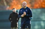13 November 2018; Rory Best during Ireland rugby squad training at Carton House in Maynooth, Co. Kildare. Photo by Ramsey Cardy/Sportsfile