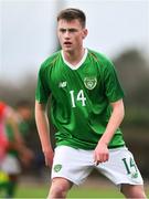14 November 2018; Oran Crowe of Republic of Ireland during the U16 Victory Shield match between Republic of Ireland and Wales at Mounthawk Park in Tralee, Kerry. Photo by Brendan Moran/Sportsfile