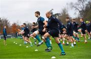 15 November 2018; Rory Best and Iain Henderson during Ireland Rugby squad training at Carton House in Maynooth, Co. Kildare. Photo by Ramsey Cardy/Sportsfile