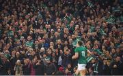 17 November 2018; Ireland supporters celebrate the try scored by Jacob Stockdale during the Guinness Series International match between Ireland and New Zealand at the Aviva Stadium in Dublin. Photo by David Fitzgerald/Sportsfile