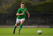 16 November 2018; Daniel Rose of Republic of Ireland during the U16 Victory Shield match between Republic of Ireland and Scotland at Mounthawk Park in Tralee, Kerry. Photo by Brendan Moran/Sportsfile