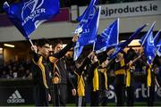 23 November 2018; Malahide RFC flagbearers ahead of the Bank of Ireland Half-Time Minis at the Guinness PRO14 Round 9 match between Leinster and Ospreys at the RDS Arena in Dublin. Photo by Ramsey Cardy/Sportsfile