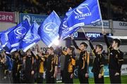 23 November 2018; Malahide RFC flagbearers ahead of the Bank of Ireland Half-Time Minis at the Guinness PRO14 Round 9 match between Leinster and Ospreys at the RDS Arena in Dublin. Photo by Ramsey Cardy/Sportsfile