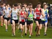 25 November 2018; Sean Cotter of Craughwell A.C. Co. Galway, left, Dean Casey of Ennis Track A.C. Co. Calrem centre, and Scott Fagan of Metro/St. Brigid's A.C. Co. Dublin, competing in the Boys U16 4,000m during the Irish Life Health National Senior & Junior Cross Country Championships at National Sports Campus in Abbottstown, Dublin. Photo by Harry Murphy/Sportsfile