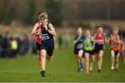25 November 2018; Sean Quinn of Templeogue A.C. Co. Dublin, competing in the Boys U14 2,000m during the Irish Life Health National Senior & Junior Cross Country Championships at National Sports Campus in Abbottstown, Dublin. Photo by Harry Murphy/Sportsfile