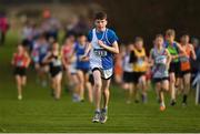 25 November 2018; Luke Duffy of Tullamore Harriers A.C. Co. Offaly, competing in the Boys U14 2,000m during the Irish Life Health National Senior & Junior Cross Country Championships at National Sports Campus in Abbottstown, Dublin. Photo by Harry Murphy/Sportsfile