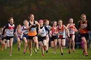 25 November 2018; Eleanor Foot of Bray Runners A.C. Co. Wicklow, second left, competing in the Girls U14 2,000m during the Irish Life Health National Senior & Junior Cross Country Championships at National Sports Campus in Abbottstown, Dublin. Photo by Harry Murphy/Sportsfile