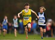 25 November 2018; Sean Cummins of Boyne A.C. Co. Louth, competing in the Boys U12 2,000m during the Irish Life Health National Senior & Junior Cross Country Championships at National Sports Campus in Abbottstown, Dublin. Photo by Harry Murphy/Sportsfile