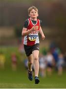 25 November 2018; Harry Doherty of Ennis Track A.C. Co. Clare, competing in the Boys U12 2,000m during the Irish Life Health National Senior & Junior Cross Country Championships at National Sports Campus in Abbottstown, Dublin. Photo by Harry Murphy/Sportsfile
