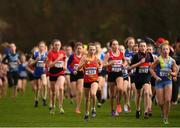 25 November 2018; A general view of athletes during the Girls U14 2,000m during the Irish Life Health National Senior & Junior Cross Country Championships at National Sports Campus in Abbottstown, Dublin. Photo by Harry Murphy/Sportsfile