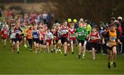 25 November 2018; A general view during the Boys U12 2,000m during the Irish Life Health National Senior & Junior Cross Country Championships at National Sports Campus in Abbottstown, Dublin. Photo by Harry Murphy/Sportsfile