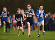 25 November 2018; Matthew O'Grady of Templeogue A.C. Co. Dublin, centre, competing in the Boys U12 2,000m during the Irish Life Health National Senior & Junior Cross Country Championships at National Sports Campus in Abbottstown, Dublin. Photo by Harry Murphy/Sportsfile