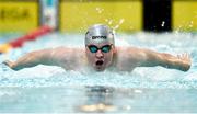7 December 2018; Alfie Kelly of Dolphin competing in the 400m Men's individual medley event during the Friday of the Irish Short Course Swimming Championships at Lagan Valley Leisureplex in Antrim. Photo by Oliver McVeigh/Sportsfile