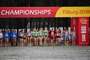 9 December 2018; A general view of the Ireland team at the start line competing in the U20 Women's event during the European Cross Country Previews at Beekse Bergen Safari Park in Tilburg, Netherlands. Photo by Sam Barnes/Sportsfile