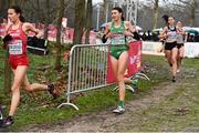 9 December 2018; Sophie O'Sullivan, centre, of Ireland competing in the U20 Women's event during the European Cross Country Championships at Beekse Bergen Safari Park in Tilburg, Netherlands. Photo by Sam Barnes/Sportsfile