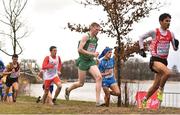 9 December 2018; Sean O'Leary of Ireland competing in the U20 Men's event during the European Cross Country Championships at Beekse Bergen Safari Park in Tilburg, Netherlands. Photo by Sam Barnes/Sportsfile