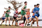9 December 2018; Michael Power, right, and Jamie Battle, centre, of Ireland competing in the U20 Men's event during the European Cross Country Championships at Beekse Bergen Safari Park in Tilburg, Netherlands. Photo by Sam Barnes/Sportsfile