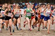 9 December 2018; Ciara Mageean, centre, of Ireland competing in the Senior Women's event during the European Cross Country Championships at Beekse Bergen Safari Park in Tilburg, Netherlands. Photo by Sam Barnes/Sportsfile