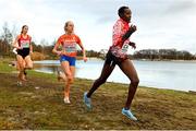 9 December 2018; Yasemin Can, right, of Turkey competing in the Senior Women's event during the European Cross Country Championships at Beekse Bergen Safari Park in Tilburg, Netherlands. Photo by Sam Barnes/Sportsfile
