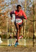 9 December 2018; Yasemin Can of Turkey competing in the Senior Women's event during the European Cross Country Championships at Beekse Bergen Safari Park in Tilburg, Netherlands. Photo by Sam Barnes/Sportsfile