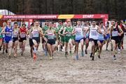 9 December 2018; A general view of the start of the Senior Men's event during the European Cross Country Championships at Beekse Bergen Safari Park in Tilburg, Netherlands. Photo by Sam Barnes/Sportsfile