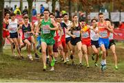 9 December 2018; Ryan Forsyth of Ireland competing in the U23 Men's event during the European Cross Country Championships at Beekse Bergen Safari Park in Tilburg, Netherlands. Photo by Sam Barnes/Sportsfile