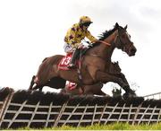 9 December 2018; Jake Peter, with Ricky Doyle up, jumps the last on their way to finishing second in the Sherry FitzGerald Lettings Handicap Hurdle at Punchestown Racecourse in Naas, Co. Kildare. Photo by Seb Daly/Sportsfile