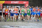 9 December 2018; Daire Finn, left, and Darragh McElhinney of Ireland competing in the U20 Men's event during the European Cross Country Championships at Beekse Bergen Safari Park in Tilburg, Netherlands. Photo by Sam Barnes/Sportsfile
