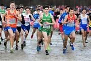 9 December 2018; Darragh McElhinney of Ireland competing in the U20 Men's event during the European Cross Country Championships at Beekse Bergen Safari Park in Tilburg, Netherlands. Photo by Sam Barnes/Sportsfile
