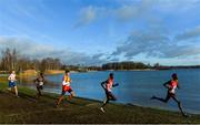 9 December 2018; A general view during the Senior Men's Event during the European Cross Country Championship at Beekse Bergen Safari Park in Tilburg, Netherlands. Photo by Sam Barnes/Sportsfile