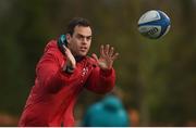 11 December 2018; Head coach Johann van Graan during Munster Rugby squad training at the University of Limerick in Limerick. Photo by Diarmuid Greene/Sportsfile