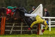 25 January 2018; Daniel Holden falls from his mount Glen's Dd at the last during the Ladbrokes Handicap Hurdle at the Gowran Park Races in Gowran Park, Co Kilkenny. Photo by Matt Browne/Sportsfile