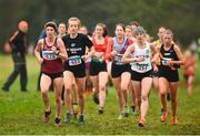 15 December 2018; Athletes competing in the women's novice 4000m race during the Irish Life Health Novice & Juvenile Uneven Age Cross Country Championships 2018 at Navan Adventure Sports, Navan Racecourse in Meath. Photo by Eóin Noonan/Sportsfile