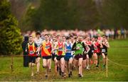 15 December 2018; Athletes competing in the men's novice 6000m race during the Irish Life Health Novice & Juvenile Uneven Age Cross Country Championships 2018 at Navan Adventure Sports, Navan Racecourse in Meath. Photo by Eóin Noonan/Sportsfile
