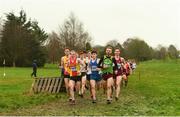 15 December 2018; Athletes competing in the men's novice 6000m race during the Irish Life Health Novice & Juvenile Uneven Age Cross Country Championships 2018 at Navan Adventure Sports, Navan Racecourse in Meath. Photo by Eóin Noonan/Sportsfile