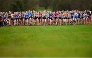 15 December 2018; Athletes competing in the girls U11 1500m race during the Irish Life Health Novice & Juvenile Uneven Age Cross Country Championships 2018 at Navan Adventure Sports, Navan Racecourse in Meath. Photo by Eóin Noonan/Sportsfile