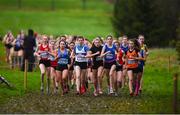 15 December 2018; Athletes competing in the girls U17 4000m race during the Irish Life Health Novice & Juvenile Uneven Age Cross Country Championships 2018 at Navan Adventure Sports, Navan Racecourse in Meath. Photo by Eóin Noonan/Sportsfile