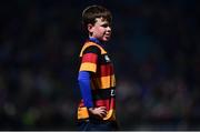 22 December 2018; Action from the Bank of Ireland Half-Time Minis match between Lansdowne RFC and Gorey RFC during the Guinness PRO14 Round 11 match between Leinster and Connacht at the RDS Arena in Dublin. Photo by Matt Browne/Sportsfile