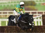 26 December 2018; Le Richebourg, with Mark Walsh up, jumps the last on their way to winning the Racing Post Novice Steeplechase during Day 1 of the Leopardstown Festival at Leopardstown racecourse in Dublin. Photo by Matt Browne/Sportsfile