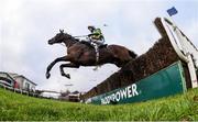 28 December 2018; Tower Bridge, with JJ Slevin up, clear the last during the Ballymaloe Foods Beginners Steeplechase during day three of the Leopardstown Festival at Leopardstown Racecourse in Dublin. Photo by David Fitzgerald/Sportsfile