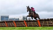 28 December 2018; Apple's Jade, with Jack Kennedy up, clear the last first time round on their way to winning the Squared Financial Christmas Hurdle during day three of the Leopardstown Festival at Leopardstown Racecourse in Dublin. Photo by David Fitzgerald/Sportsfile