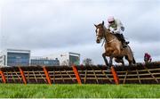 28 December 2018; Faugheen, with Ruby Walsh up, clear the last on their first time round during the Squared Financial Christmas Hurdle during day three of the Leopardstown Festival at Leopardstown Racecourse in Dublin. Photo by David Fitzgerald/Sportsfile