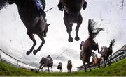 29 December 2018; Runners and riders jump the last on their first time round during the Adare Manor Opportunity Handicap Steeplechase during day four of the Leopardstown Festival at Leopardstown Racecourse in Dublin. Photo by David Fitzgerald/Sportsfile