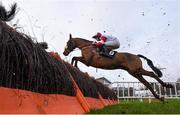 29 December 2018; The Big Dog, with David Mullins up, jump the last on the first time round on their way to finishing second in the Pigsback.com Maiden Hurdle during day four of the Leopardstown Festival at Leopardstown Racecourse in Dublin. Photo by David Fitzgerald/Sportsfile