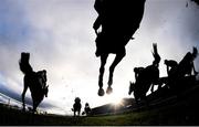 29 December 2018; Runners and riders jump the last first time round during the Neville Hotels Novice Steeplechase during day four of the Leopardstown Festival at Leopardstown Racecourse in Dublin. Photo by David Fitzgerald/Sportsfile