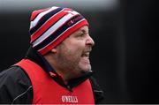 5 January 2019; Louth manager Wayne Kierans during the Bord na Móna O'Byrne Cup Round 3 match between Longford and Louth at Glennon Brothers Pearse Park in Longford. Photo by Piaras Ó Mídheach/Sportsfile