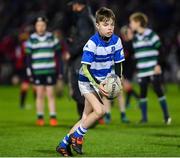 5 January 2019; Action from the Bank of Ireland Half-Time Minis match between Suttonians RFC and Athy RFC during the Guinness PRO14 Round 13 match between Leinster and Ulster at the RDS Arena in Dublin. Photo by Seb Daly/Sportsfile