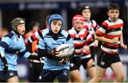 12 January 2019; Action from the Bank of Ireland Half-Time Minis match between Enniscorthy RFC and MU Barnhall RFC during the Heineken Champions Cup Pool 1 Round 5 match between Leinster and Toulouse at the RDS Arena in Dublin. Photo by Ramsey Cardy/Sportsfile