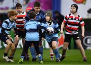 12 January 2019; Action from the Bank of Ireland Half-Time Minis match between Enniscorthy RFC and MU Barnhall RFC during the Heineken Champions Cup Pool 1 Round 5 match between Leinster and Toulouse at the RDS Arena in Dublin. Photo by Ramsey Cardy/Sportsfile